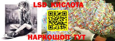гашик Моздок