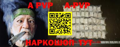 гашик Моздок