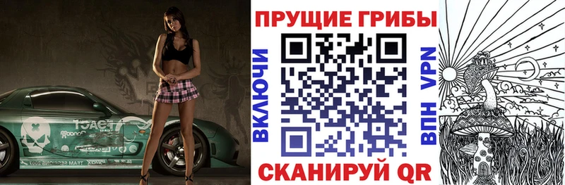 mega сайт  где можно купить наркотик  Губаха  Галлюциногенные грибы Cubensis 